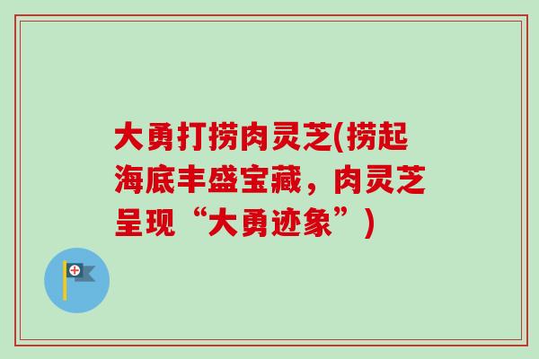 大勇打捞肉灵芝(捞起海底丰盛宝藏，肉灵芝呈现“大勇迹象”)
