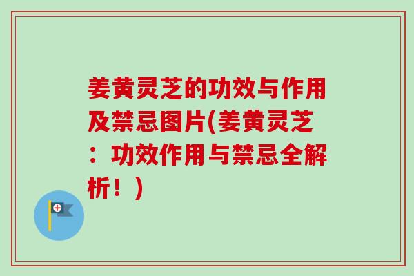 姜黄灵芝的功效与作用及禁忌图片(姜黄灵芝：功效作用与禁忌全解析！)