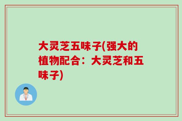 大灵芝五味子(强大的植物配合：大灵芝和五味子)