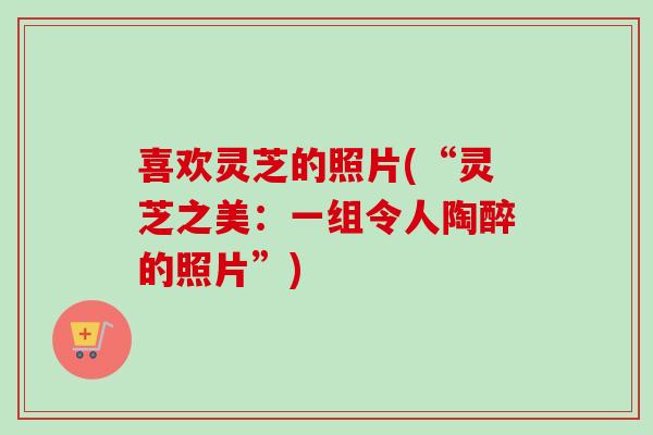 喜欢灵芝的照片(“灵芝之美：一组令人陶醉的照片”)