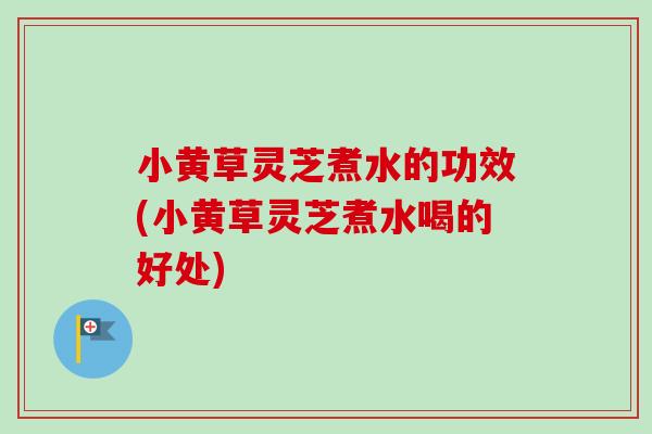 小黄草灵芝煮水的功效(小黄草灵芝煮水喝的好处)