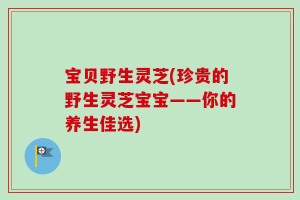 宝贝野生灵芝(珍贵的野生灵芝宝宝——你的养生佳选)