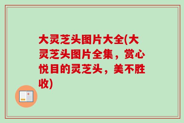 大灵芝头图片大全(大灵芝头图片全集,赏心悦目的灵芝头,美不胜收) 大灵芝头图片大全(大灵芝头图片全集,赏心悦目的灵芝头,美不胜收)