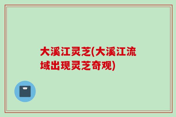 大溪江灵芝(大溪江流域出现灵芝奇观)