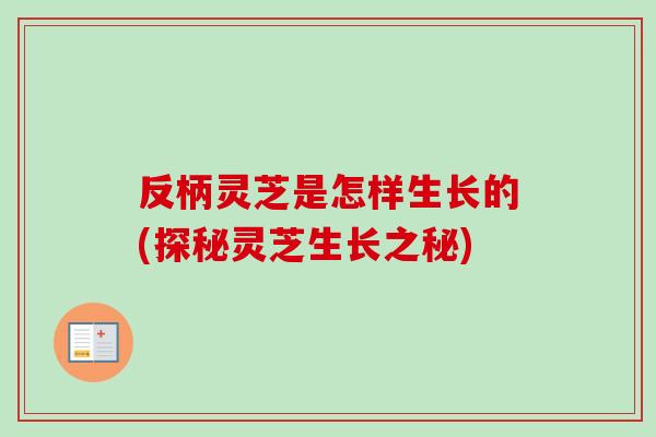 反柄灵芝是怎样生长的(探秘灵芝生长之秘)