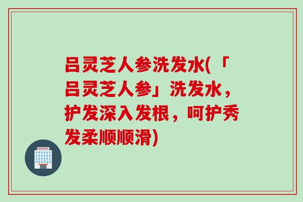 吕灵芝人参洗发水(「吕灵芝人参」洗发水，护发深入发根，呵护秀发柔顺顺滑)