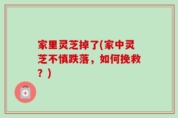 家里灵芝掉了(家中灵芝不慎跌落，如何挽救？)
