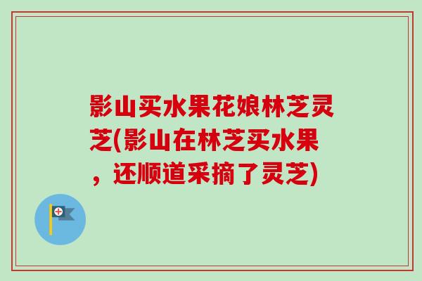 影山买水果花娘林芝灵芝(影山在林芝买水果，还顺道采摘了灵芝)