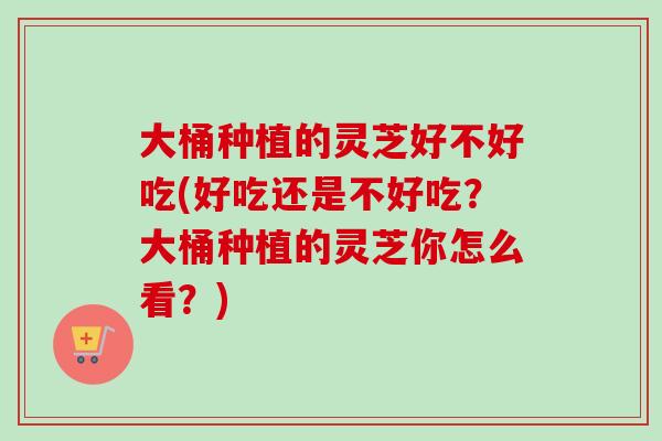 大桶种植的灵芝好不好吃(好吃还是不好吃？大桶种植的灵芝你怎么看？)