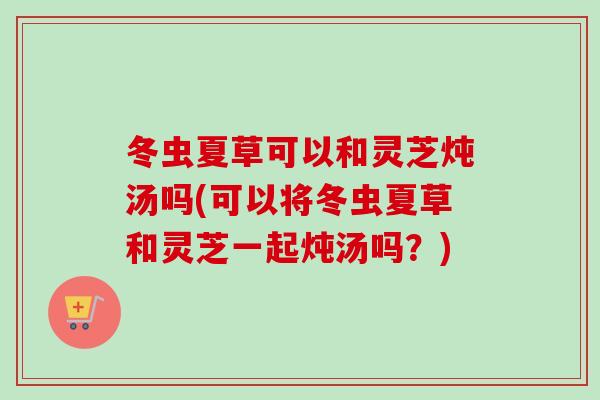 冬虫夏草可以和灵芝炖汤吗(可以将冬虫夏草和灵芝一起炖汤吗？)