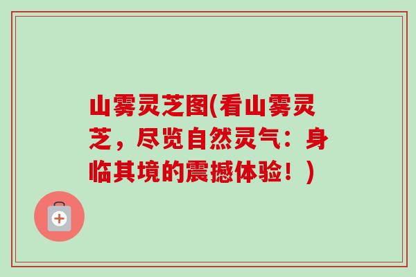 山雾灵芝图(看山雾灵芝，尽览自然灵气：身临其境的震撼体验！)