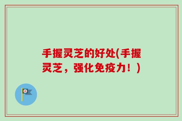 手握灵芝的好处(手握灵芝，强化免疫力！)