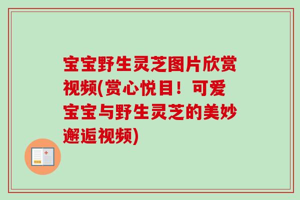宝宝野生灵芝图片欣赏视频(赏心悦目！可爱宝宝与野生灵芝的美妙邂逅视频)