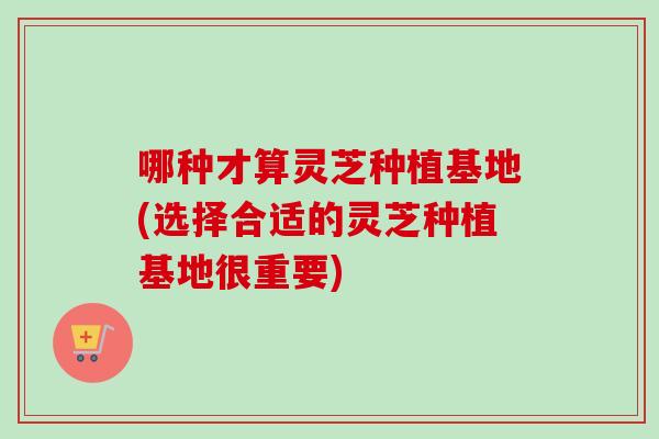 哪种才算灵芝种植基地(选择合适的灵芝种植基地很重要)