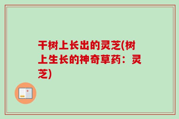 干树上长出的灵芝(树上生长的神奇草药：灵芝)