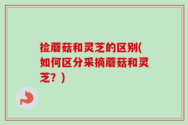 捡蘑菇和灵芝的区别(如何区分采摘蘑菇和灵芝？)