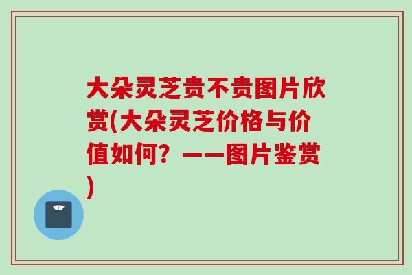 大朵灵芝贵不贵图片欣赏(大朵灵芝价格与价值如何？——图片鉴赏)