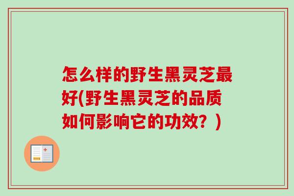 怎么样的野生黑灵芝最好(野生黑灵芝的品质如何影响它的功效？)