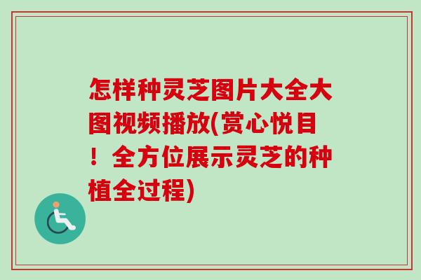 怎样种灵芝图片大全大图视频播放(赏心悦目！全方位展示灵芝的种植全过程)