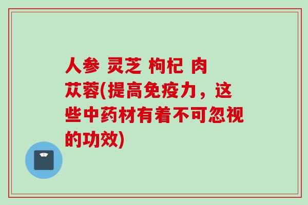 人参 灵芝 枸杞 肉苁蓉(提高免疫力，这些中药材有着不可忽视的功效)