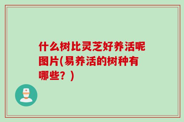 什么树比灵芝好养活呢图片(易养活的树种有哪些？)