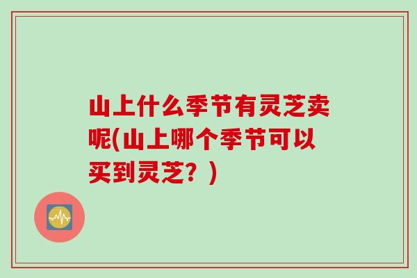 山上什么季节有灵芝卖呢(山上哪个季节可以买到灵芝？)