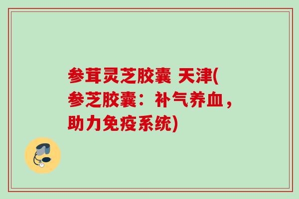 参茸灵芝胶囊 天津(参芝胶囊：补气养血，助力免疫系统)