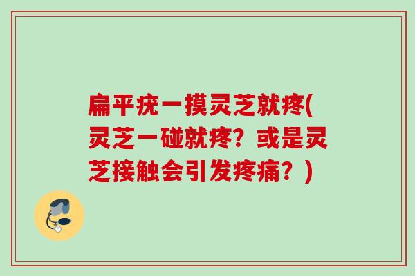 扁平疣一摸灵芝就疼(灵芝一碰就疼？或是灵芝接触会引发疼痛？)