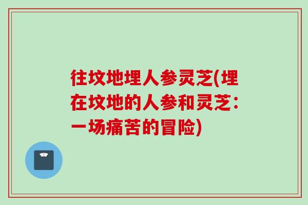 往坟地埋人参灵芝(埋在坟地的人参和灵芝：一场痛苦的冒险)