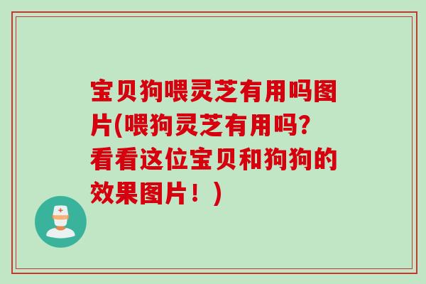 宝贝狗喂灵芝有用吗图片(喂狗灵芝有用吗？看看这位宝贝和狗狗的效果图片！)