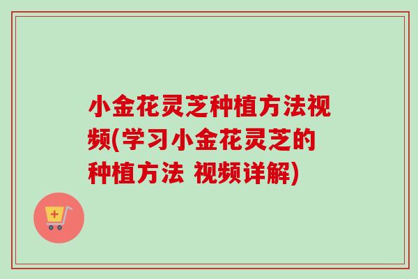 小金花灵芝种植方法视频(学习小金花灵芝的种植方法 视频详解)