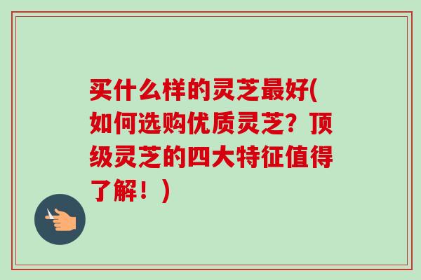 买什么样的灵芝最好(如何选购优质灵芝？顶级灵芝的四大特征值得了解！)