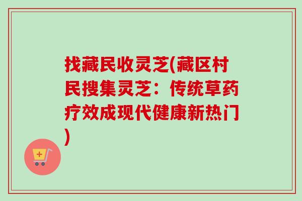 找藏民收灵芝(藏区村民搜集灵芝：传统草药疗效成现代健康新热门)