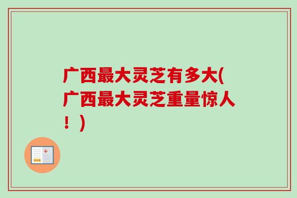 广西最大灵芝有多大(广西最大灵芝重量惊人！)