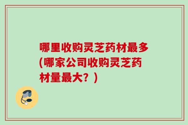 哪里收购灵芝药材最多(哪家公司收购灵芝药材量最大？)