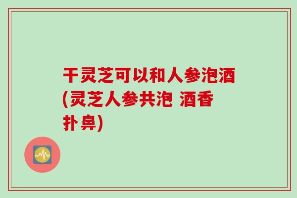 干灵芝可以和人参泡酒(灵芝人参共泡 酒香扑鼻)