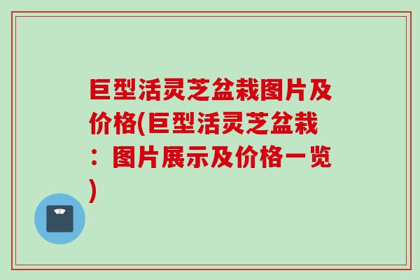 巨型活灵芝盆栽图片及价格(巨型活灵芝盆栽：图片展示及价格一览)