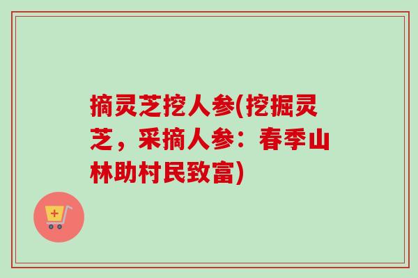 摘灵芝挖人参(挖掘灵芝，采摘人参：春季山林助村民致富)