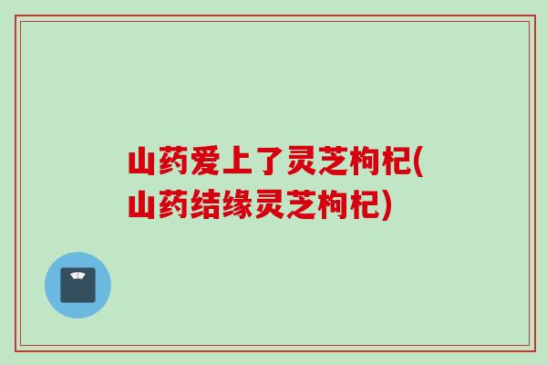 山药爱上了灵芝枸杞(山药结缘灵芝枸杞)