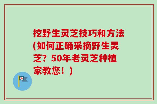 挖野生灵芝技巧和方法(如何正确采摘野生灵芝？50年老灵芝种植家教您！)