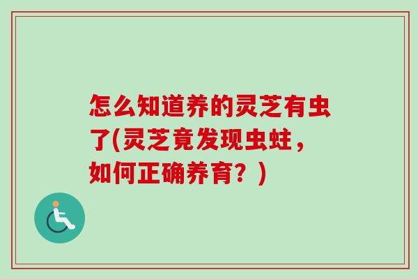 怎么知道养的灵芝有虫了(灵芝竟发现虫蛀，如何正确养育？)
