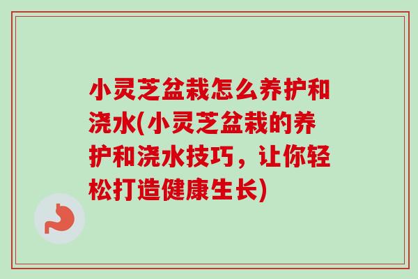小灵芝盆栽怎么养护和浇水(小灵芝盆栽的养护和浇水技巧，让你轻松打造健康生长)