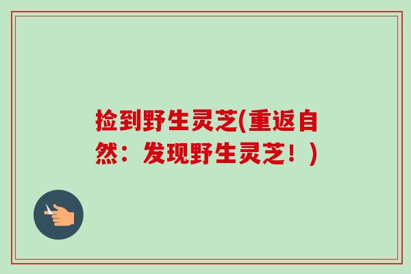 捡到野生灵芝(重返自然：发现野生灵芝！)