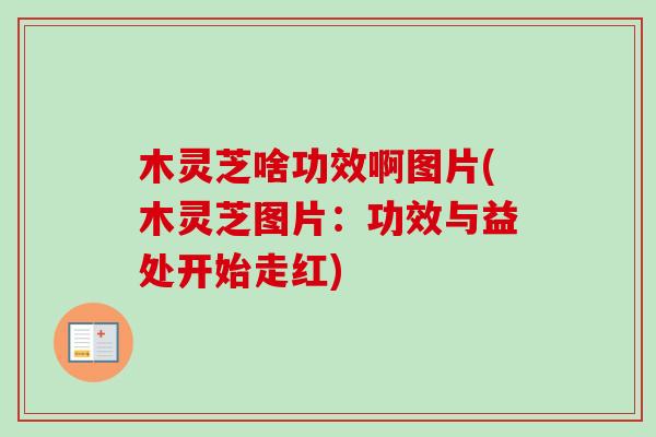 木灵芝啥功效啊图片(木灵芝图片：功效与益处开始走红)
