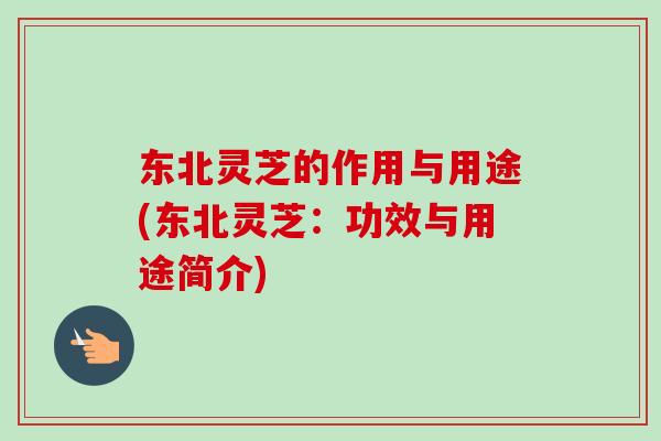 东北灵芝的作用与用途(东北灵芝：功效与用途简介)