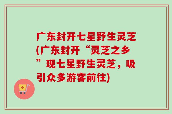 广东封开七星野生灵芝(广东封开“灵芝之乡”现七星野生灵芝，吸引众多游客前往)