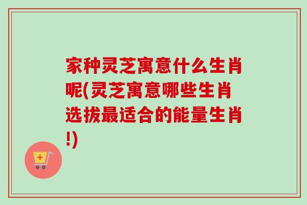 家种灵芝寓意什么生肖呢(灵芝寓意哪些生肖选拔最适合的能量生肖!)