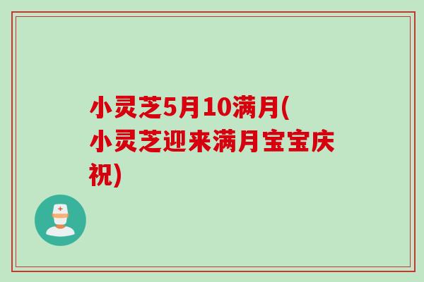 小灵芝5月10满月(小灵芝迎来满月宝宝庆祝)
