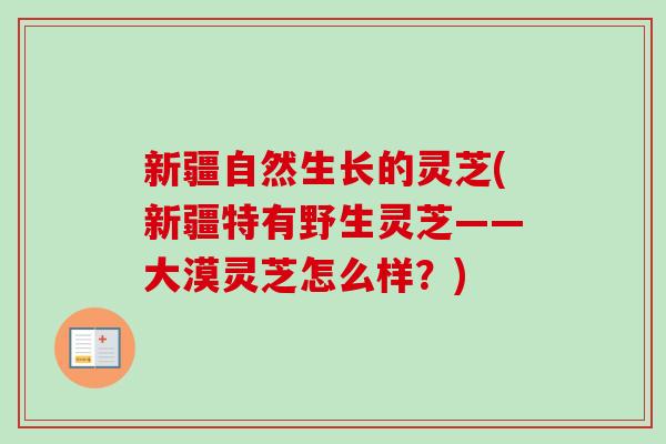 新疆自然生长的灵芝(新疆特有野生灵芝——大漠灵芝怎么样？)