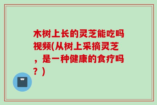 木树上长的灵芝能吃吗视频(从树上采摘灵芝，是一种健康的食疗吗？)